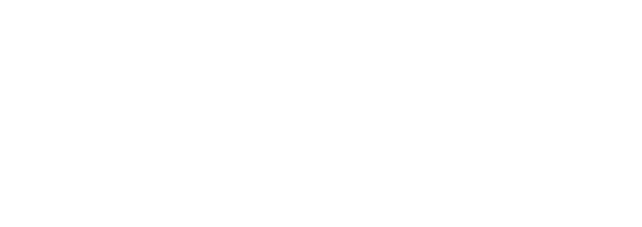 Festival Network